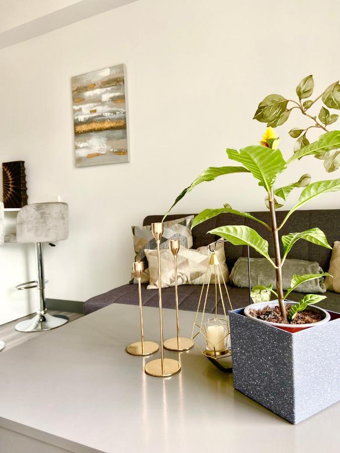 Comodo Y Elegante Apartamento En Fabuloso Condo! San José Exterior foto