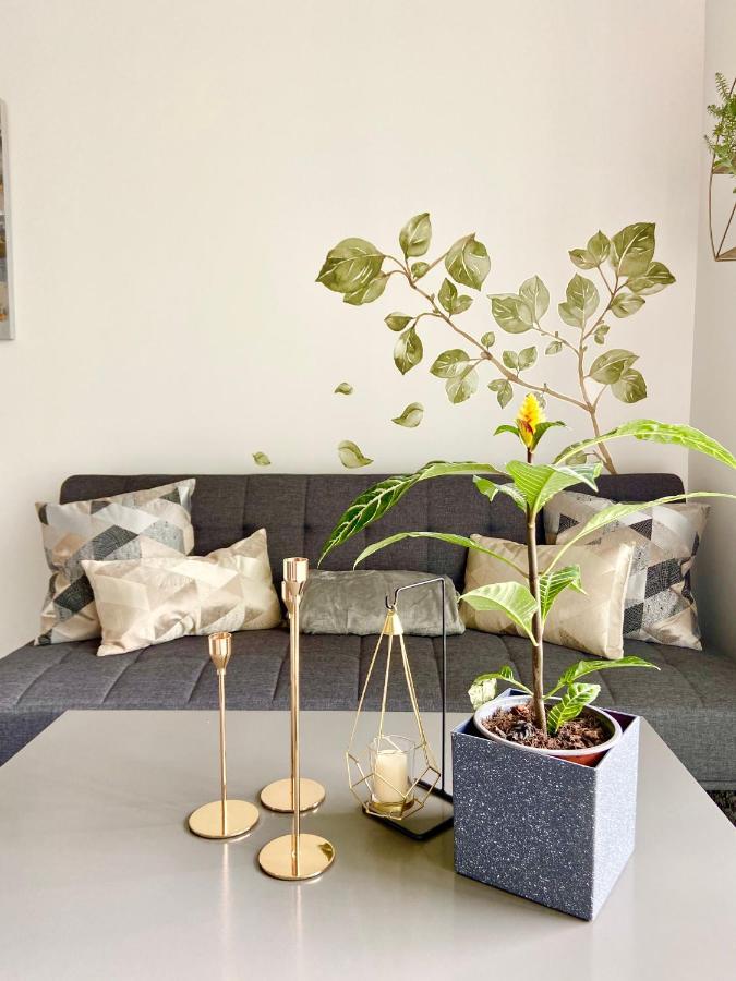 Comodo Y Elegante Apartamento En Fabuloso Condo! San José Exterior foto